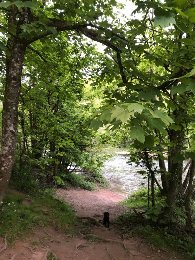 Symonds Yat - Herefordshire Property With Stunning Views 외부 사진