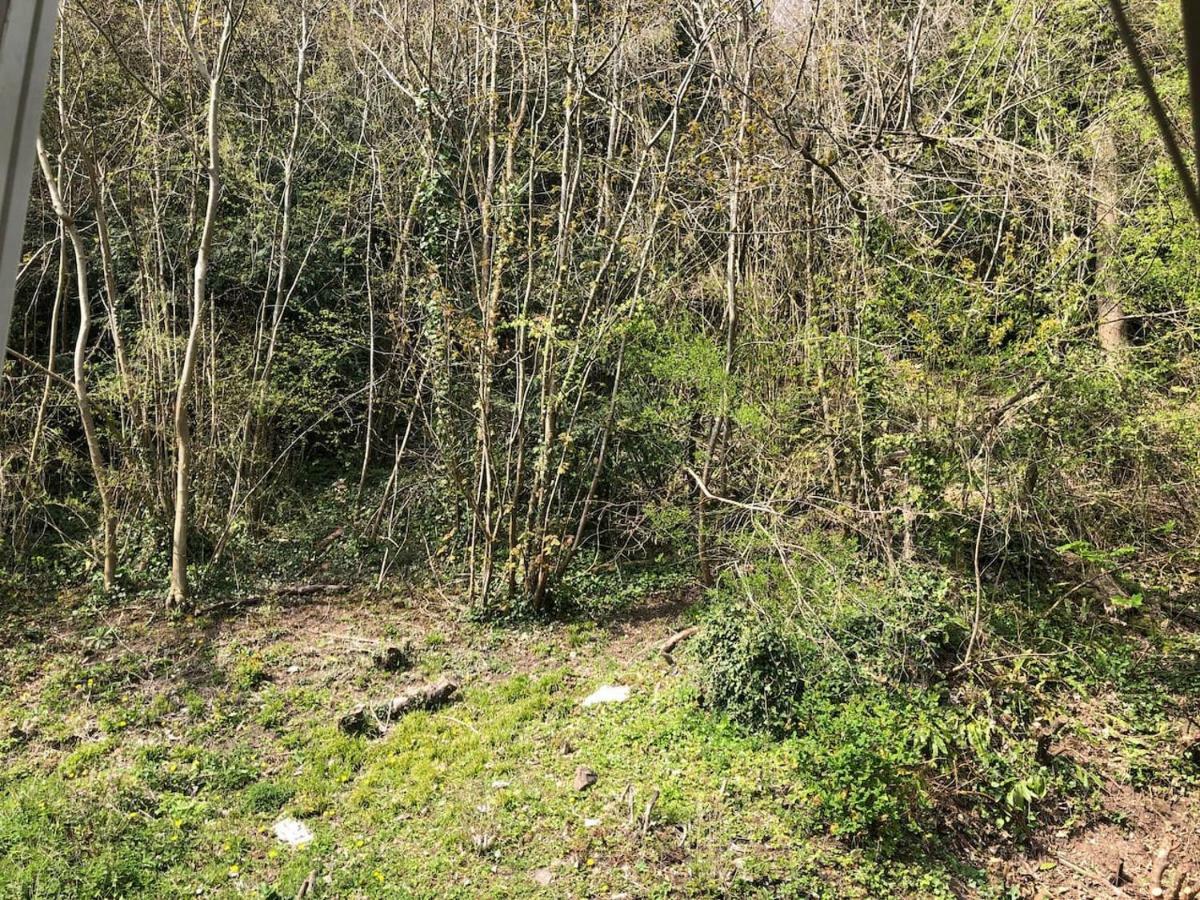 Symonds Yat - Herefordshire Property With Stunning Views 외부 사진